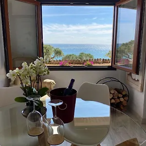 https://marina-mar.catalonia-hotels.com
